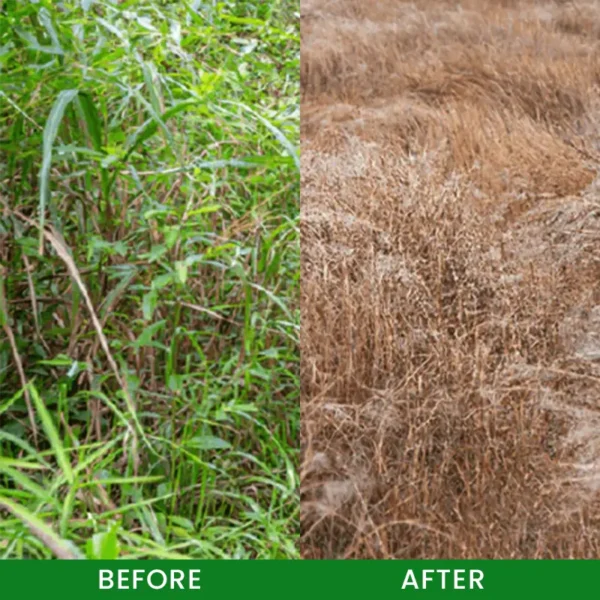 Cvreoz® Cyclosinone Herbicide Granules