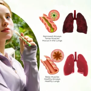 Timilk® HerbaAir Mullein Lung Purifier💨FDA-Approved Lung Support in 15 Minutes