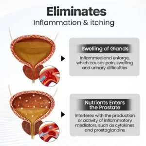 Timilk® BeeBreathe Prostate Care Nasal Therapy Inhaler